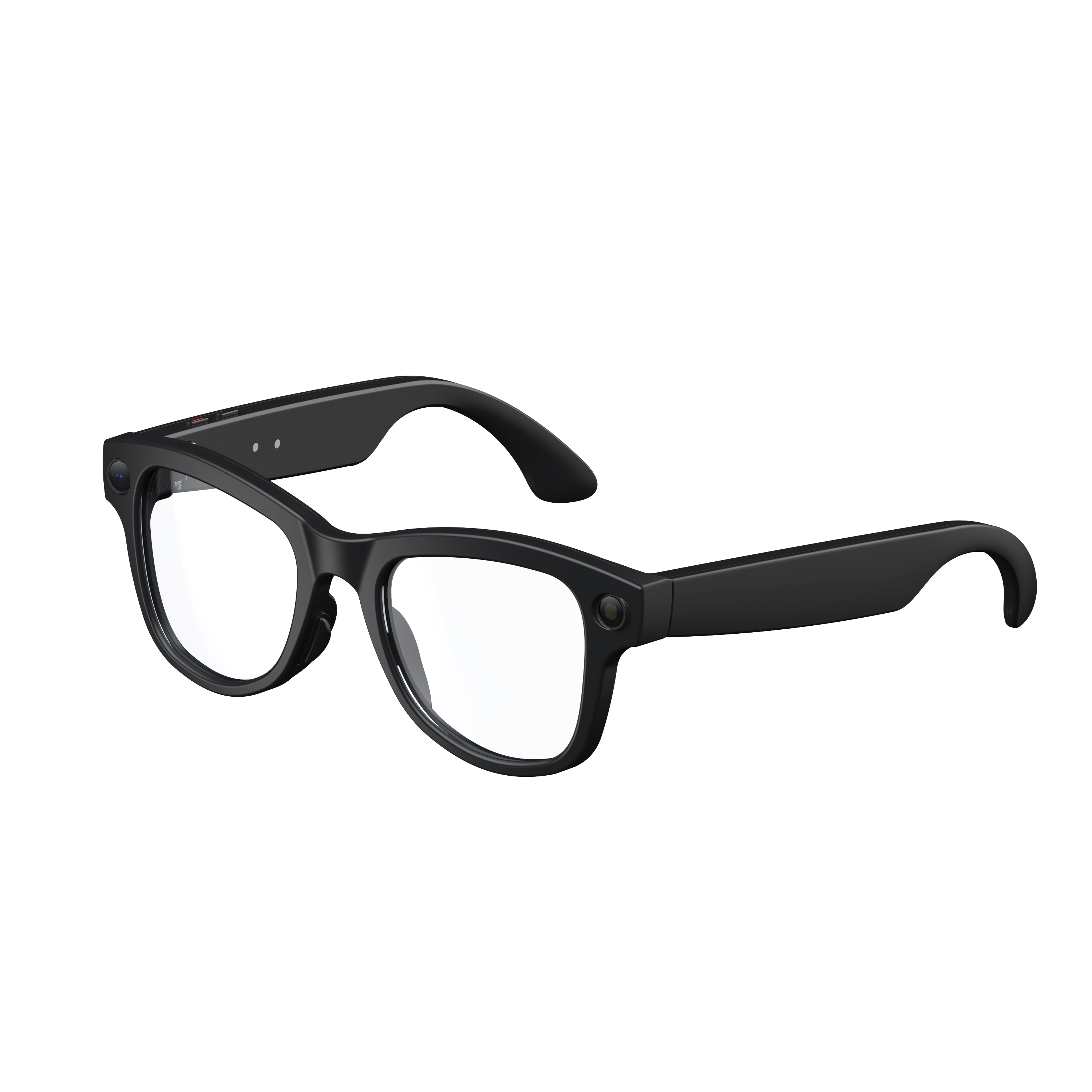 Roamer Black (Gen 1)