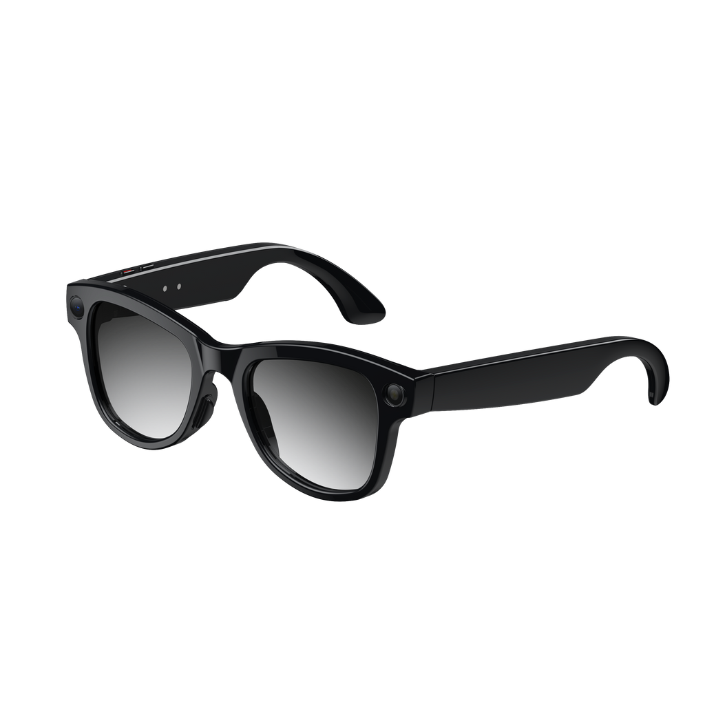 Roamer Black (Gen 1)